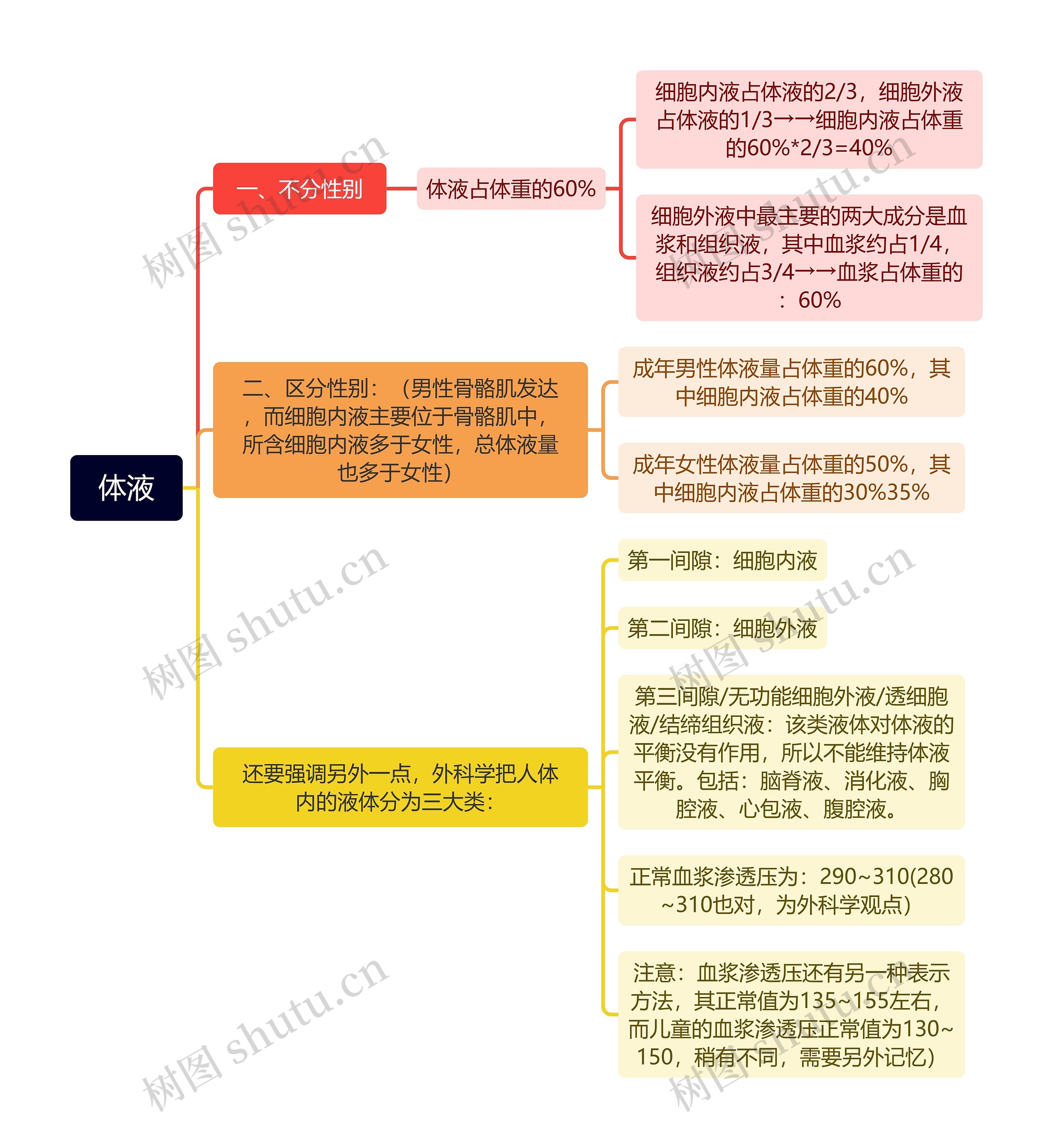 体液思维脑图