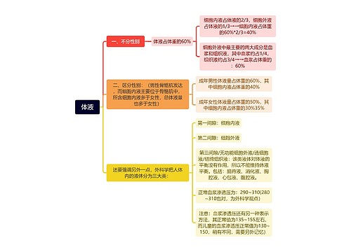 体液思维脑图思维导图