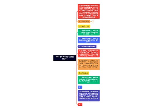 2024年1-7月整体经营情况分析思维导图
