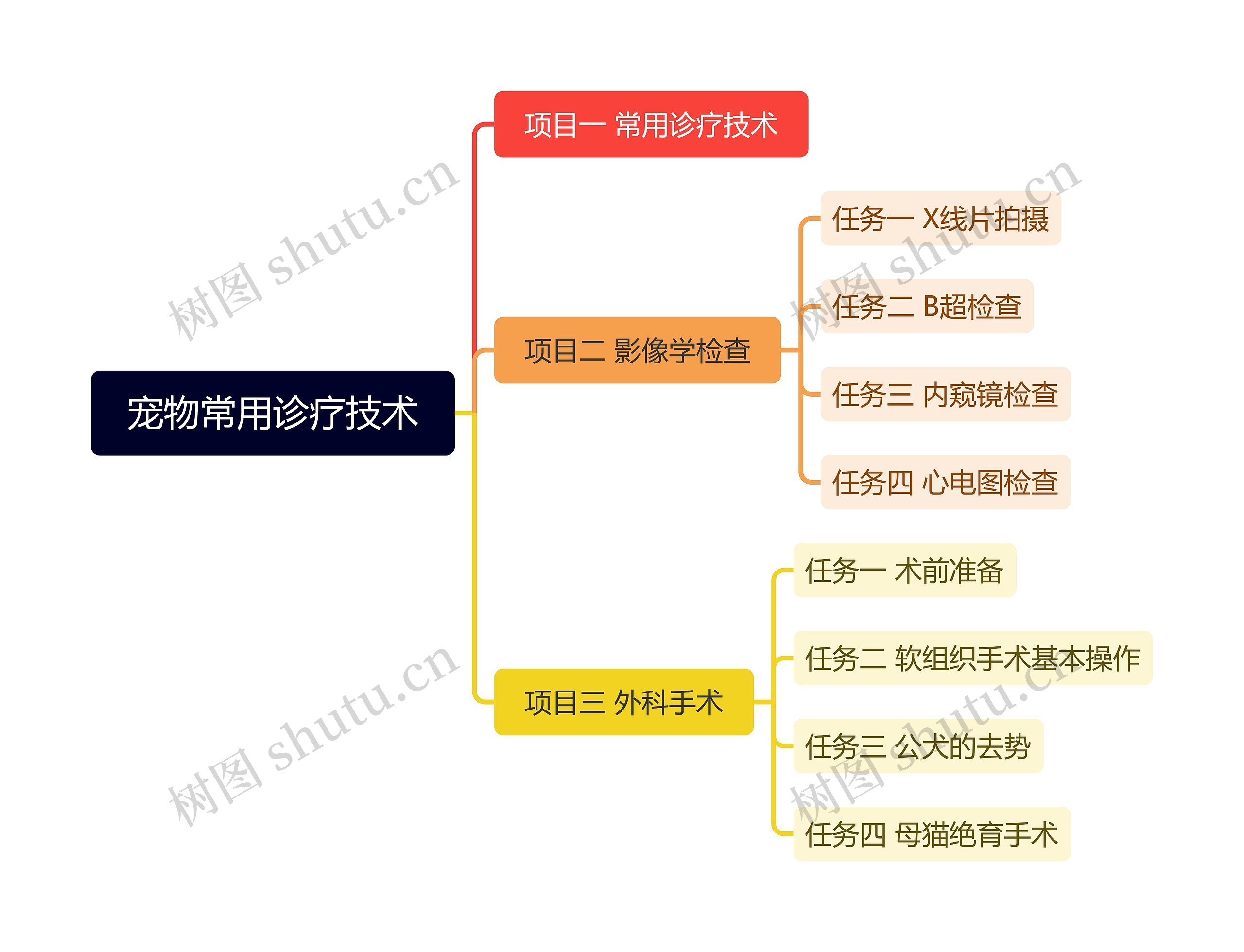 宠物常用诊疗技术思维导图