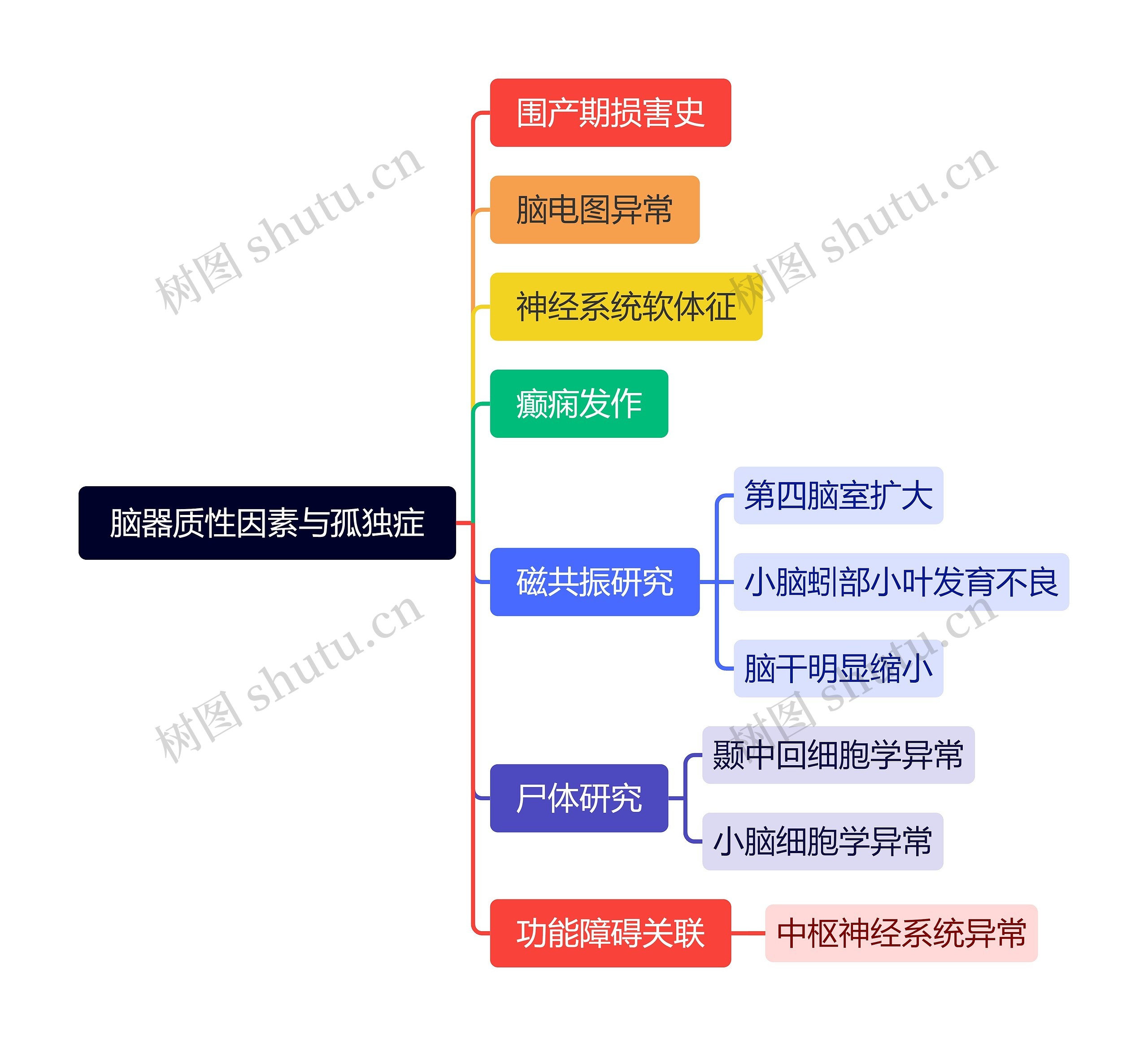 脑器质性因素与孤独症思维导图