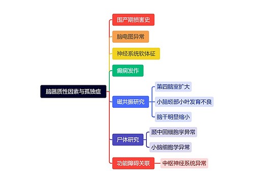 脑器质性因素与孤独症思维导图