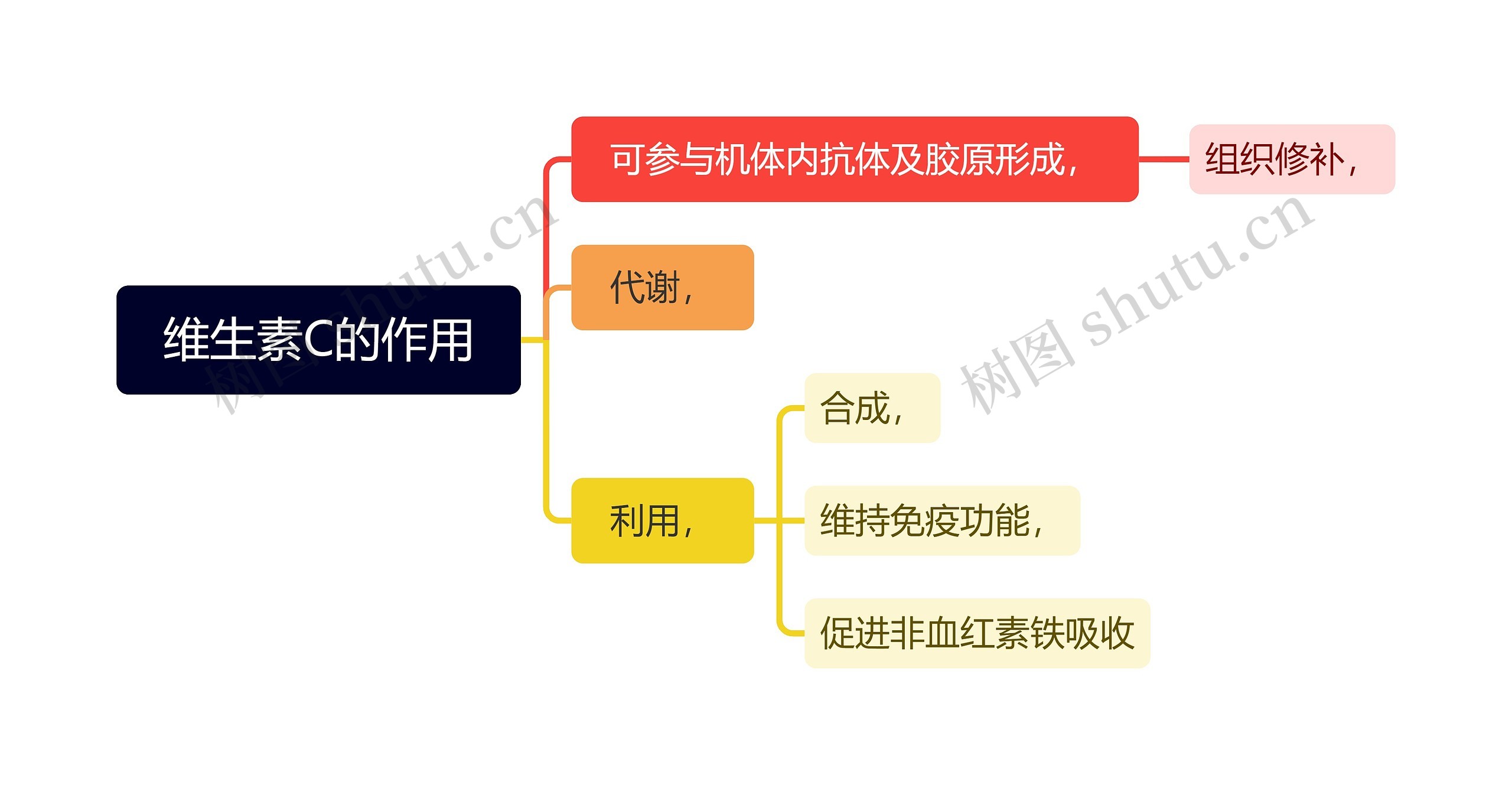 维生素C的作用