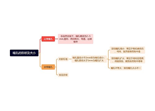 瞳孔的形状及大小思维导图