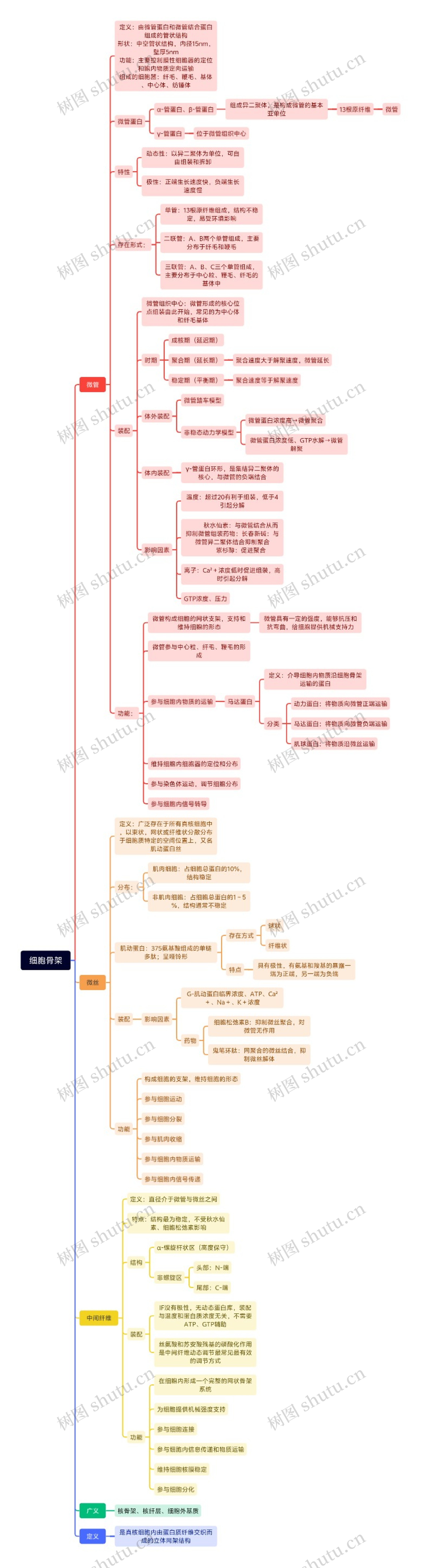 细胞骨架思维导图