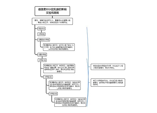 雌激素对小鼠乳腺的影响实验线路图思维导图