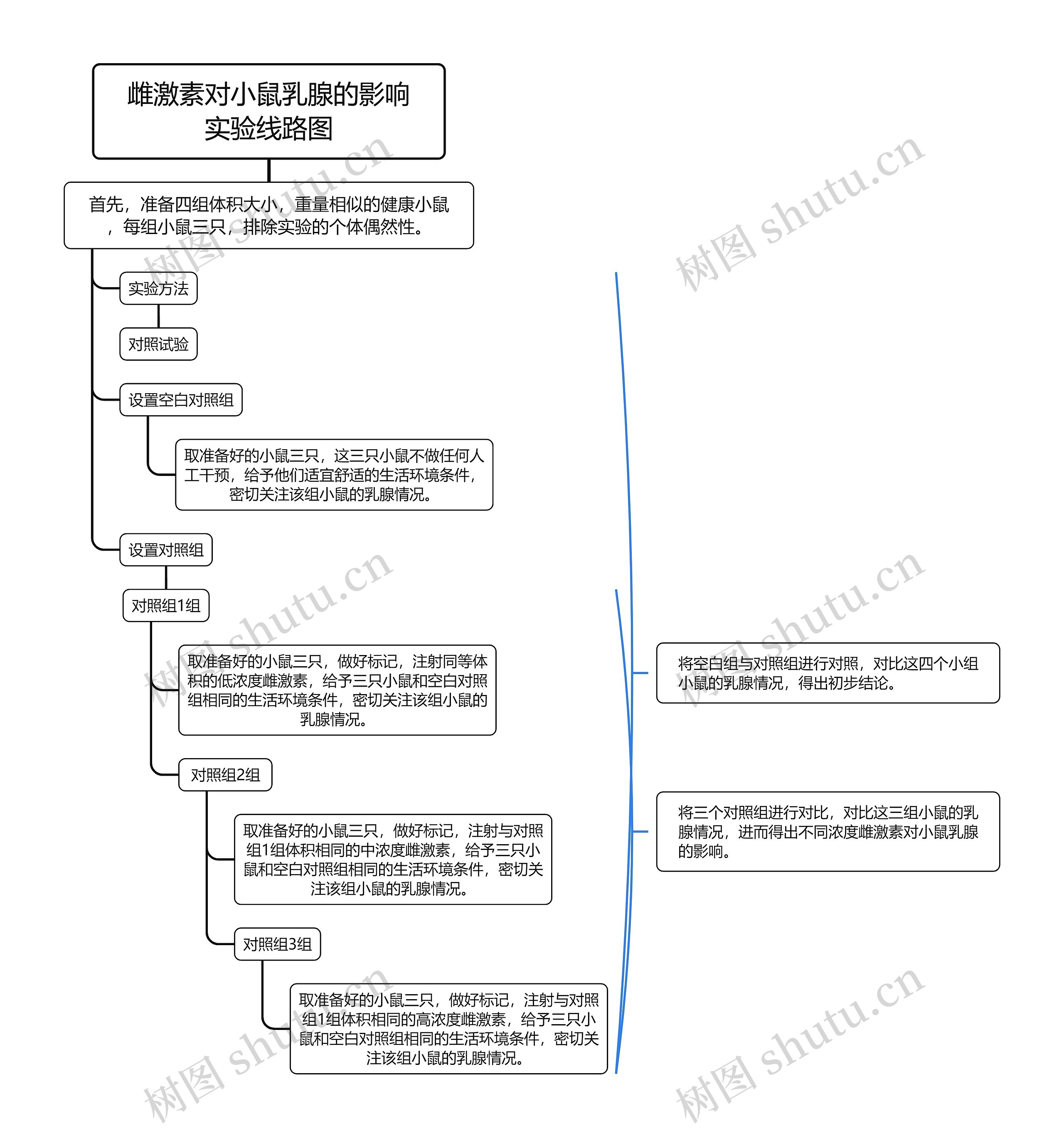 雌激素对小鼠乳腺的影响实验线路图思维导图