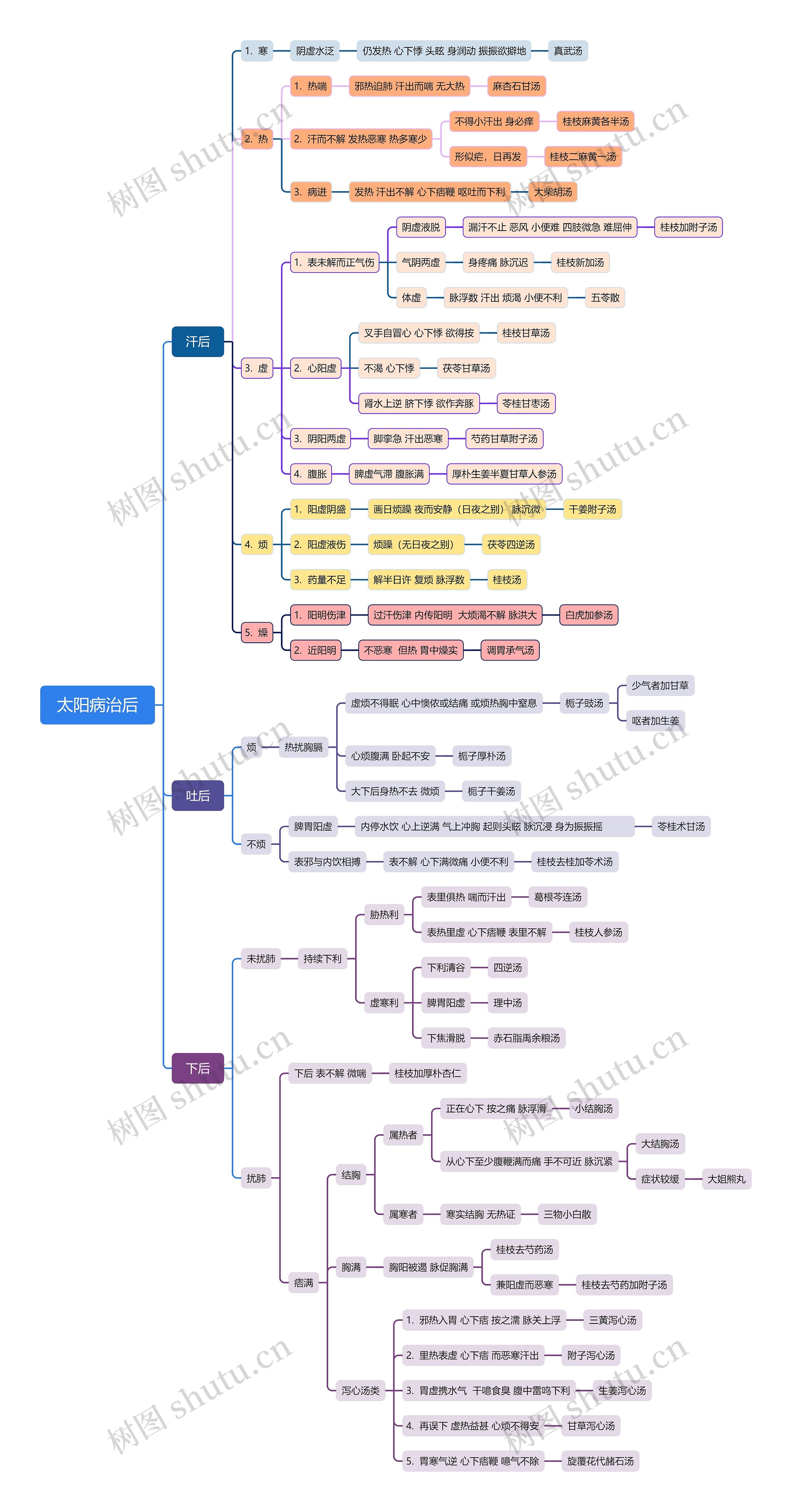 太阳病治后思维导图
