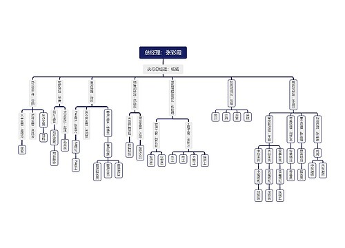 总经理:张彩霞思维导图
