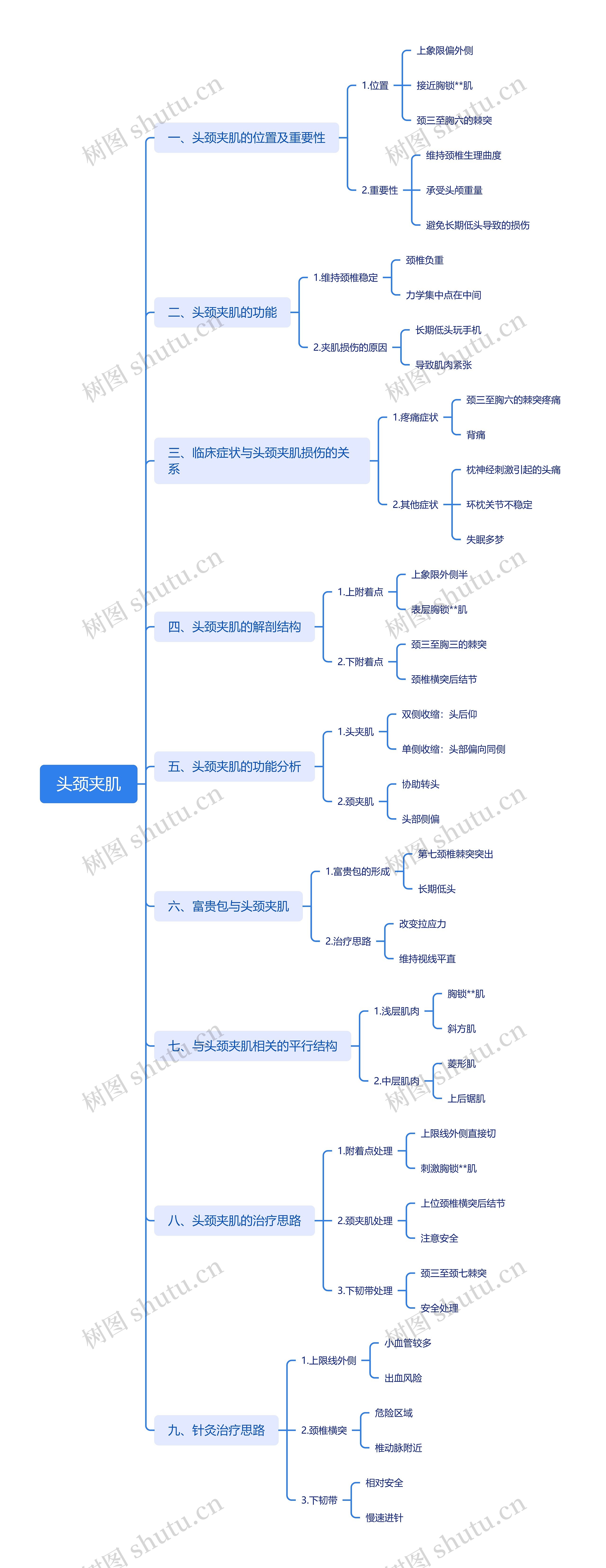 头颈夹肌思维导图