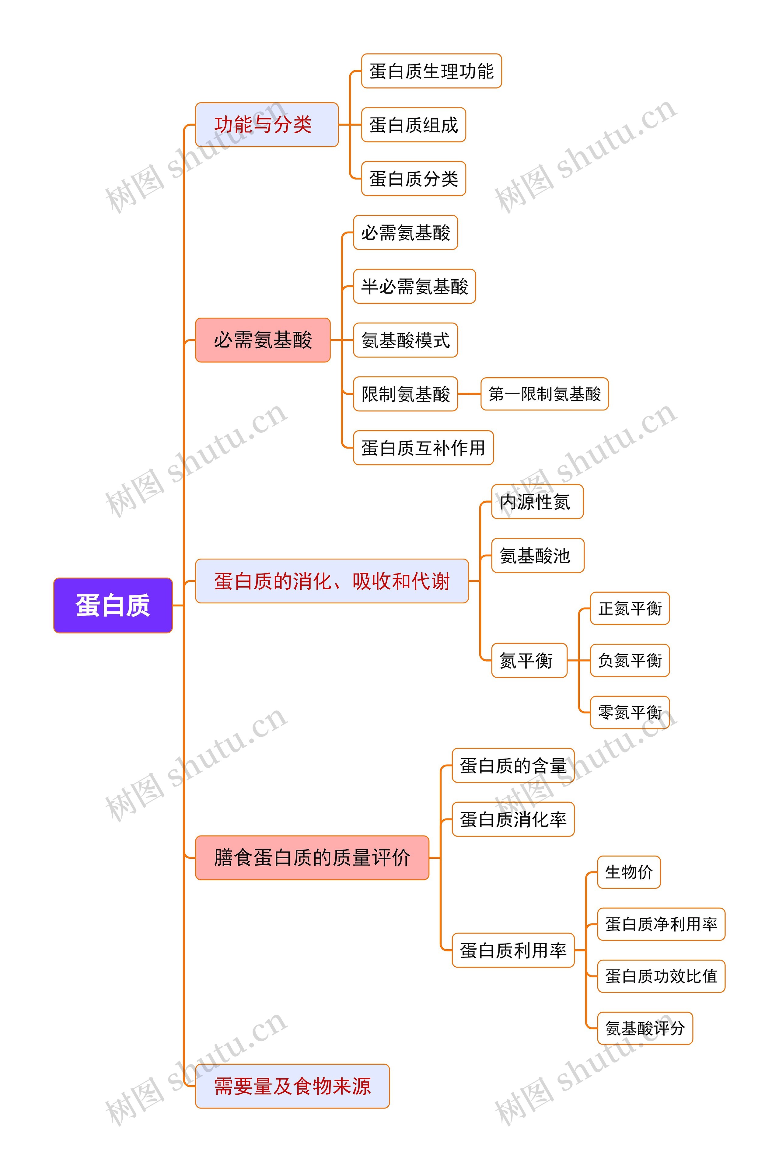 蛋白质思维脑图