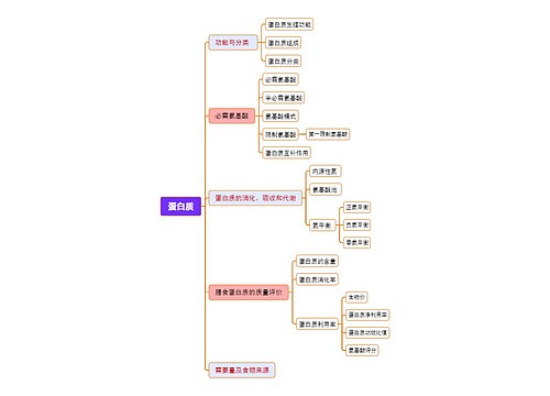 蛋白质思维脑图思维导图