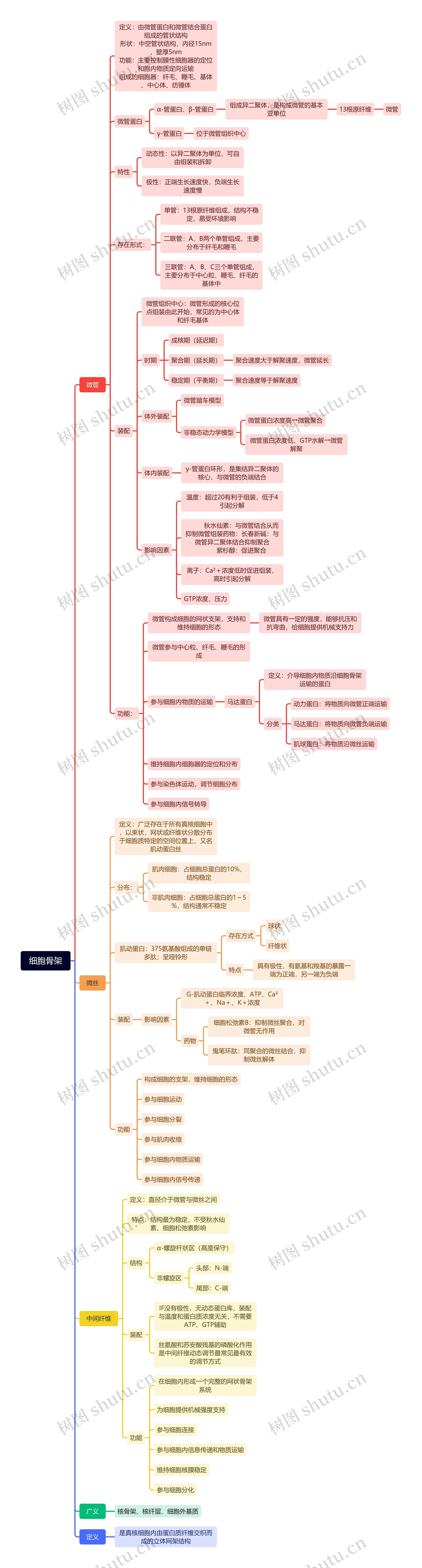 细胞骨架思维导图高清图 细胞骨架思维导图