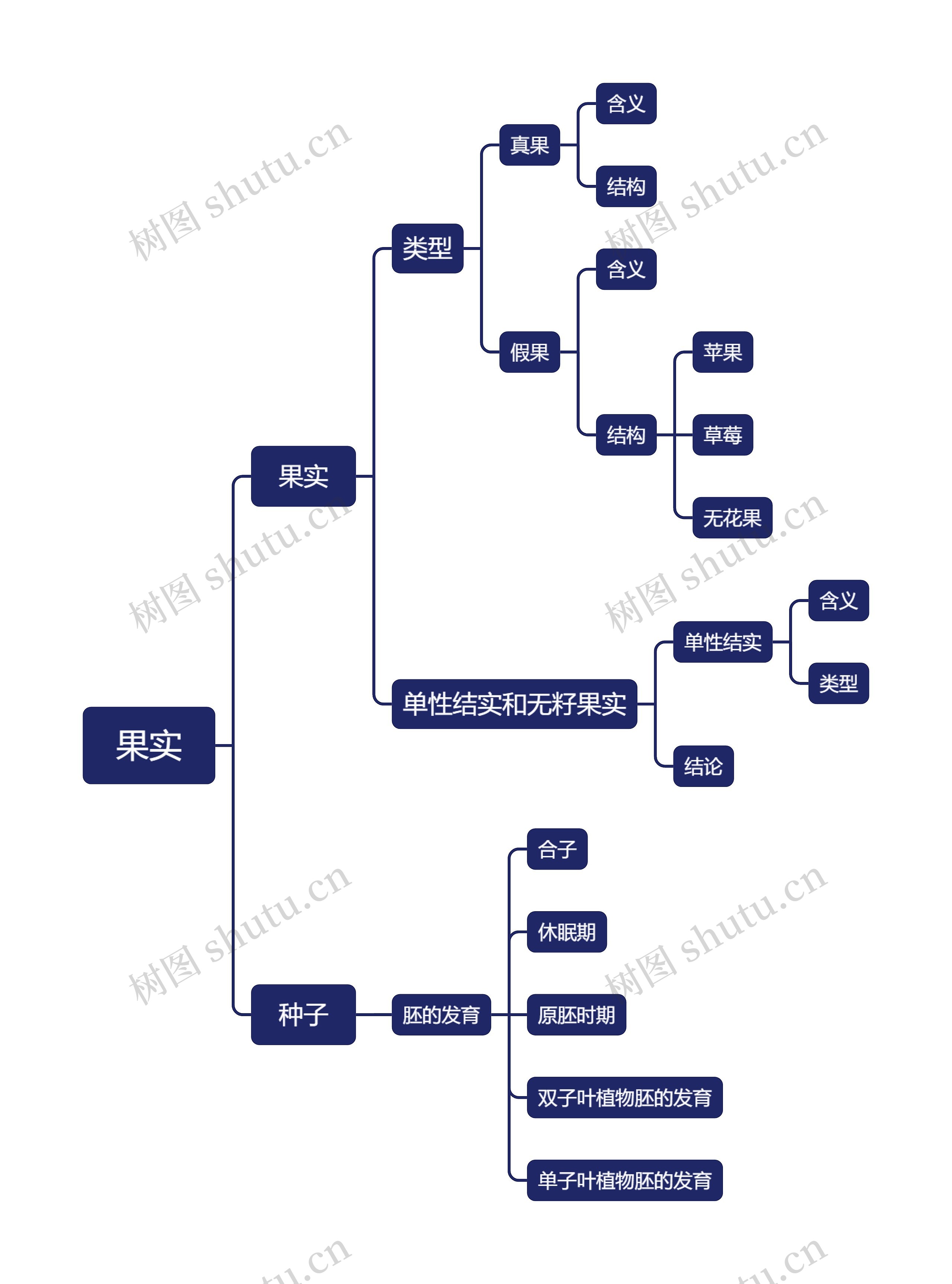 ﻿果实介绍思维导图