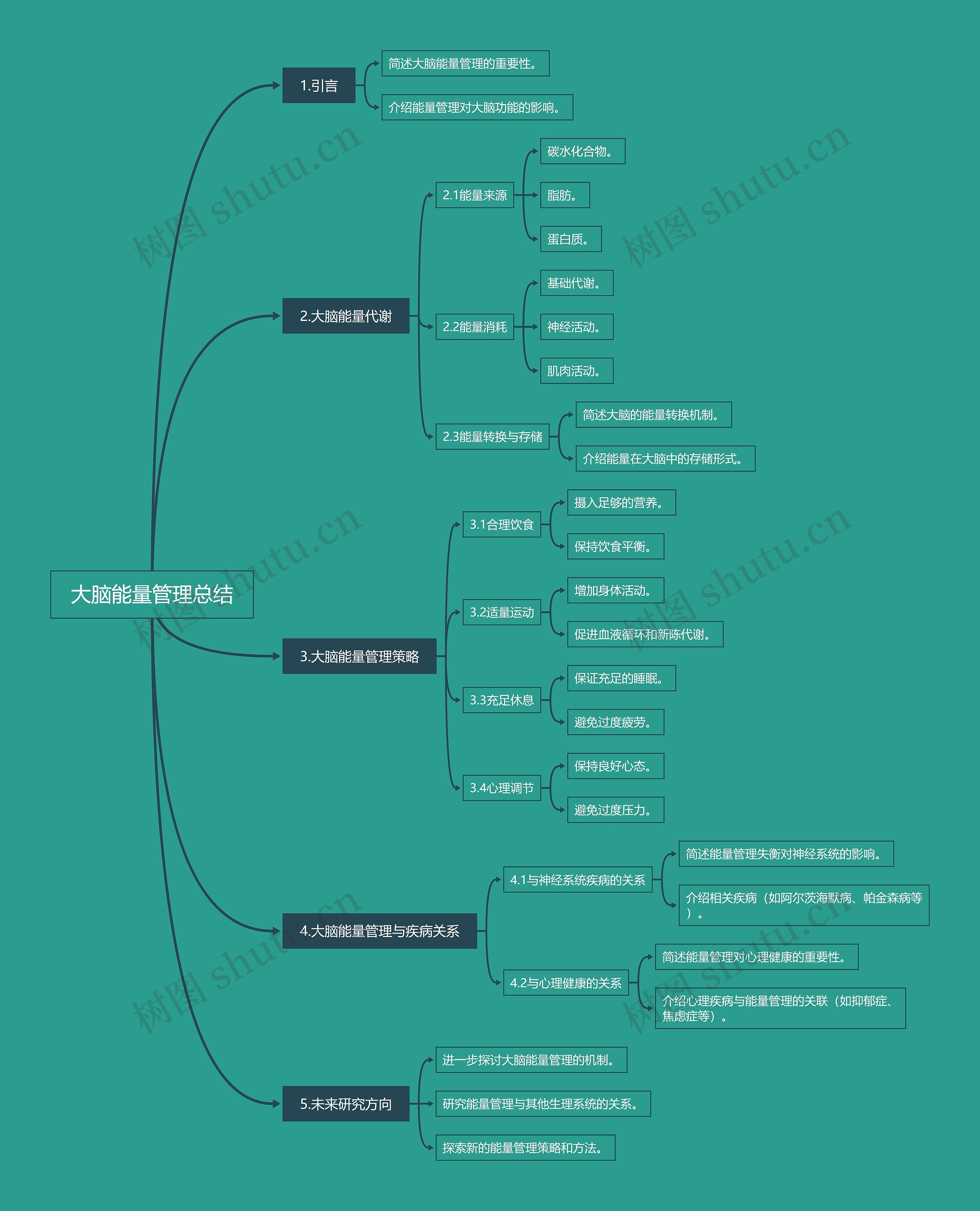 大脑能量管理总结