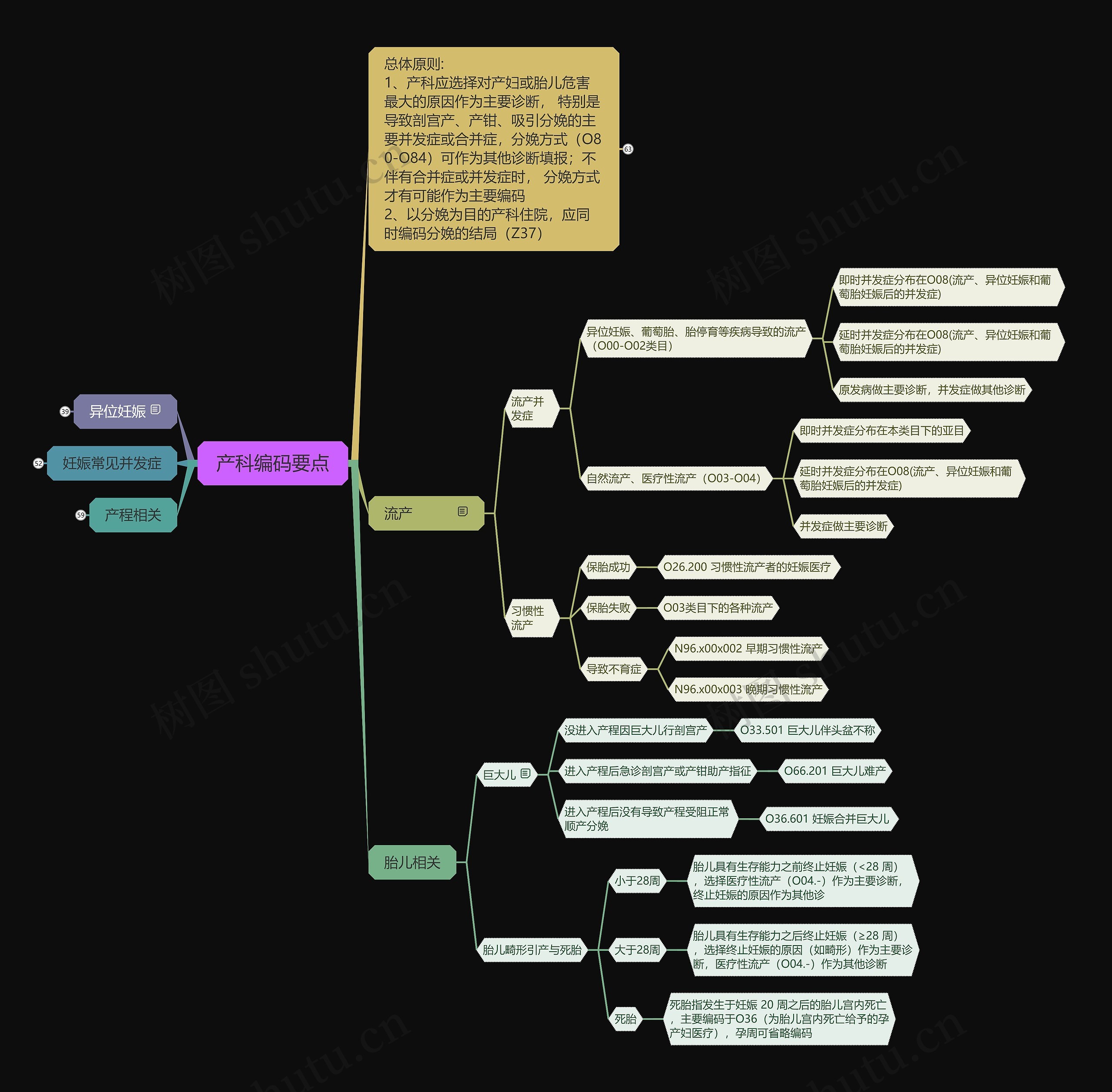 产科编码要点思维导图