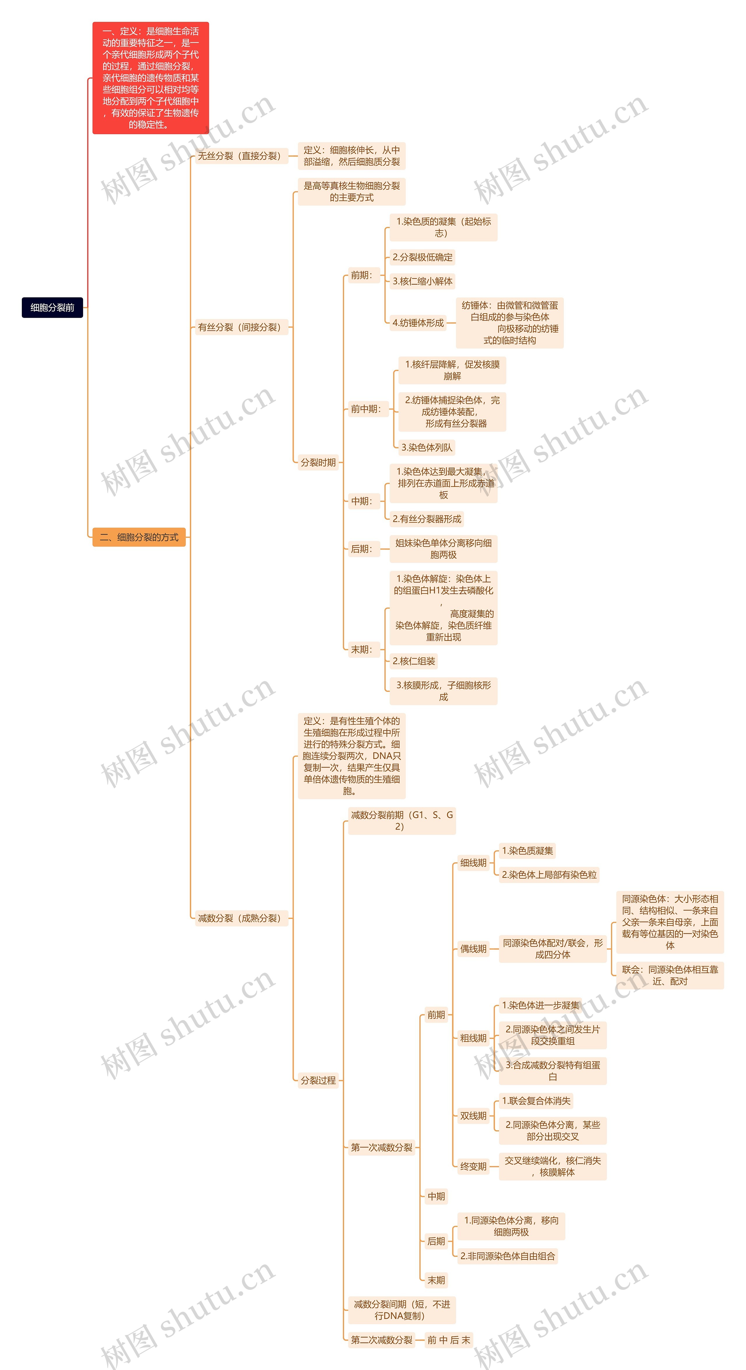 细胞分裂前思维导图