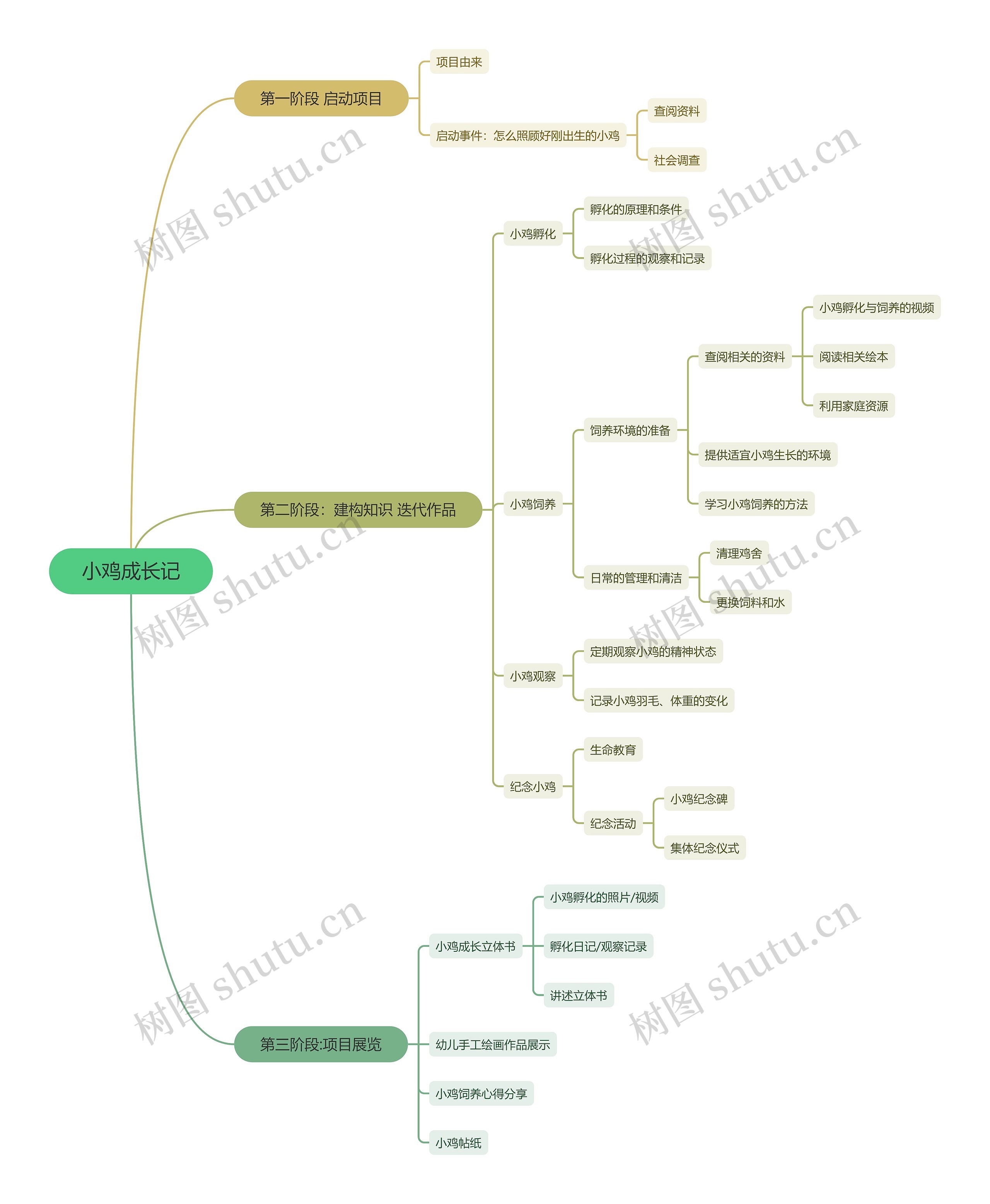 小鸡成长记思维脑图