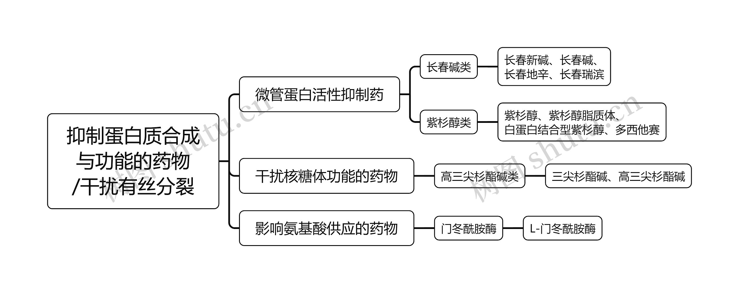 ﻿抑制蛋白质合成与功能的药物/干扰有丝分裂思维导图