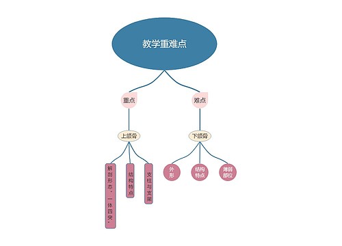 教学重难点