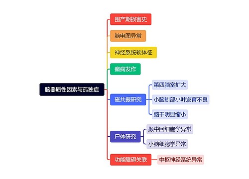 脑器质性因素与孤独症思维导图