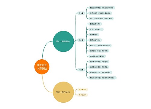 北大方正人寿保险 北大方正人寿保险