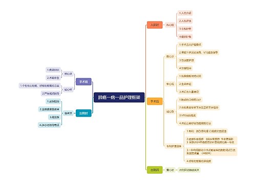 肺癌一病一品护理框架