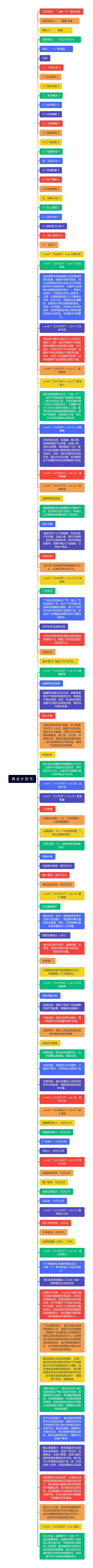 商 业 计 划 书思维导图