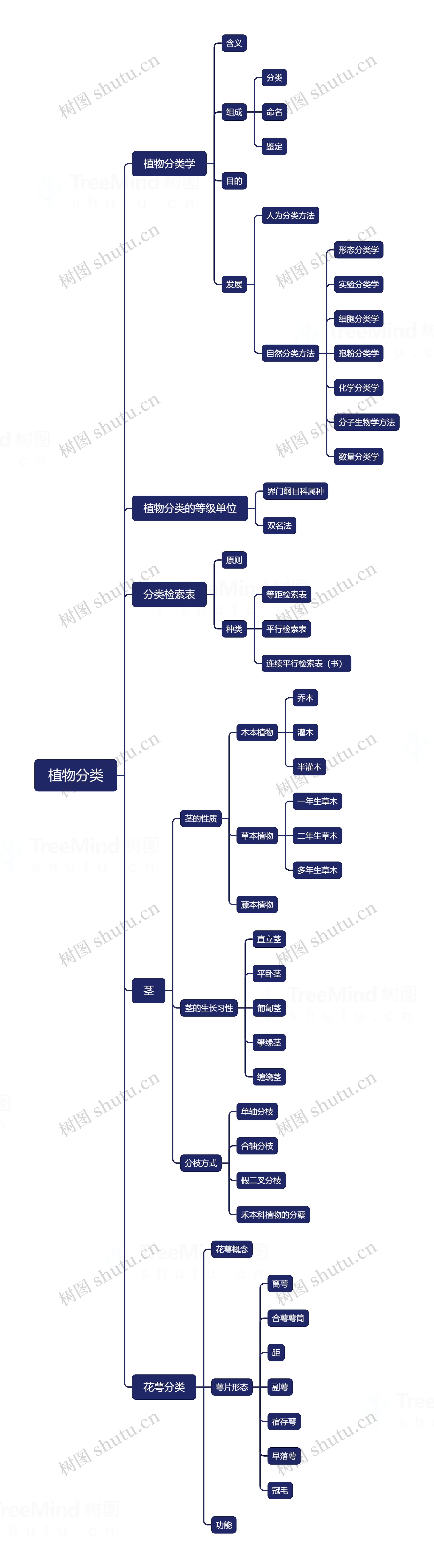 ﻿植物分类思维导图