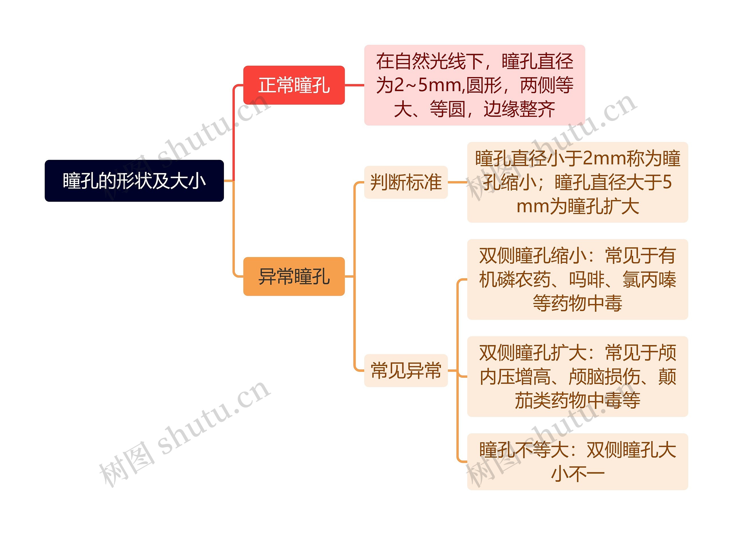 瞳孔的形状及大小思维导图高清图 瞳孔的形状及大小思维导图