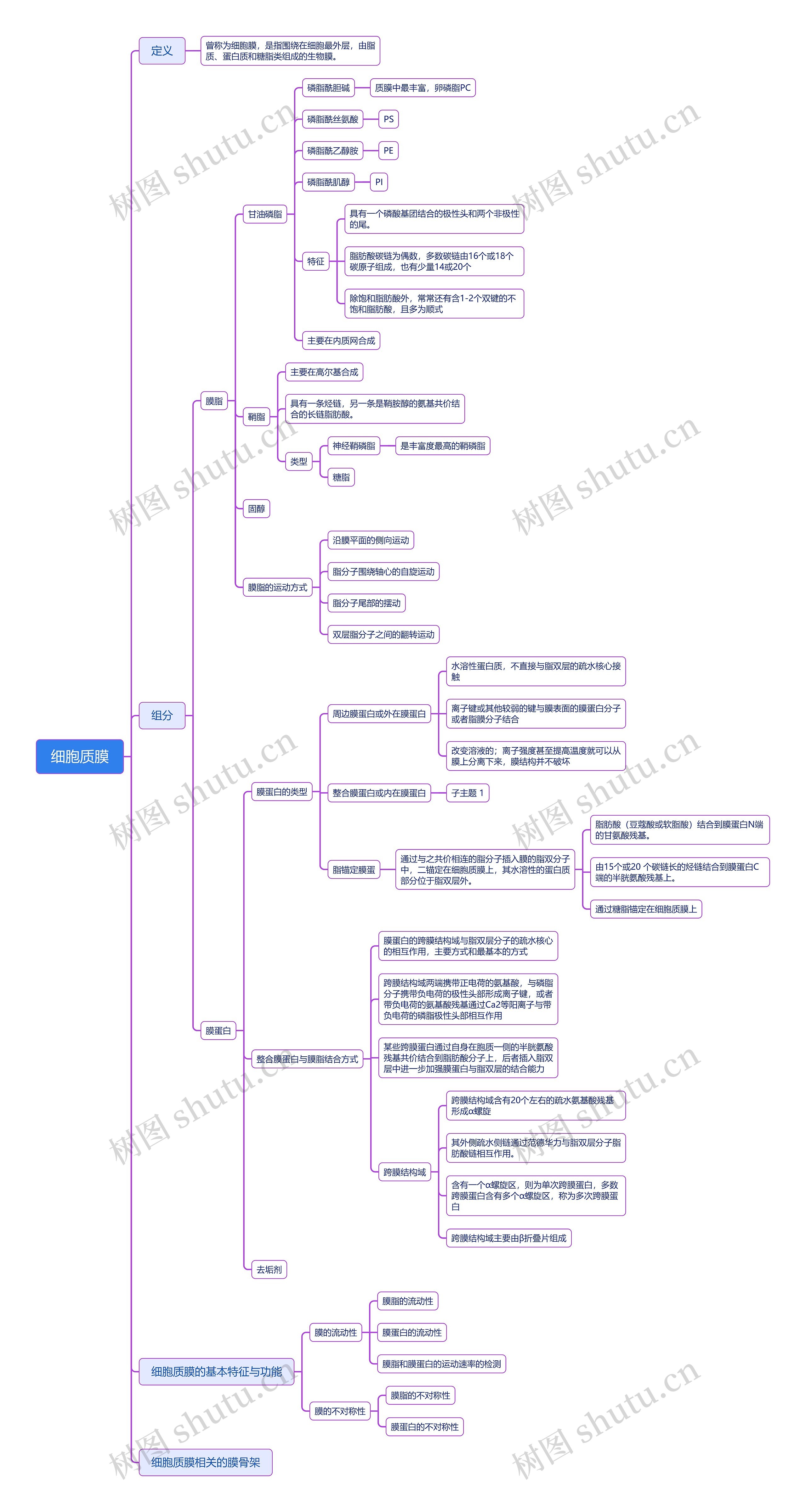 细胞质膜思维导图