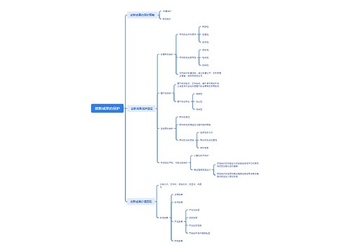 创新成果的保护思维导图