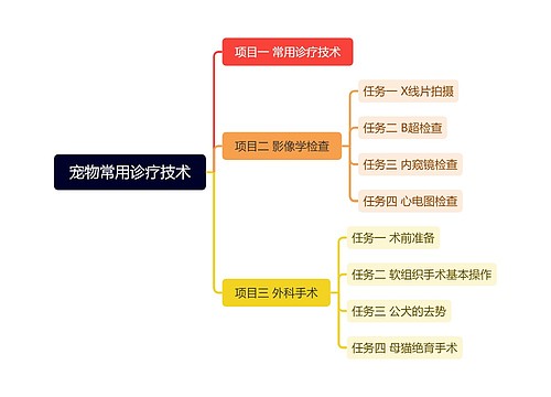 宠物常用诊疗技术思维导图