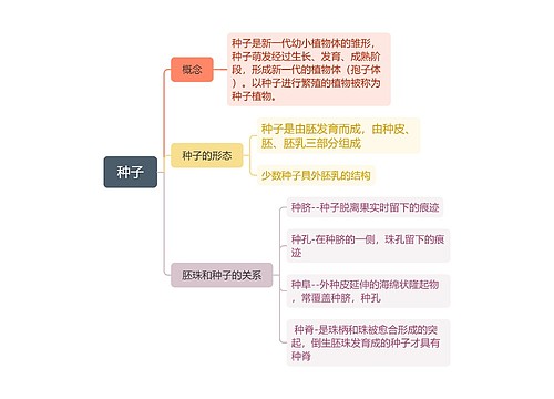 种子思维脑图思维导图