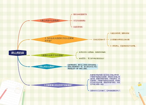 爬山虎的脚思维导图