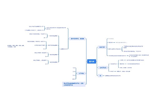 蛋白质思维脑图思维导图