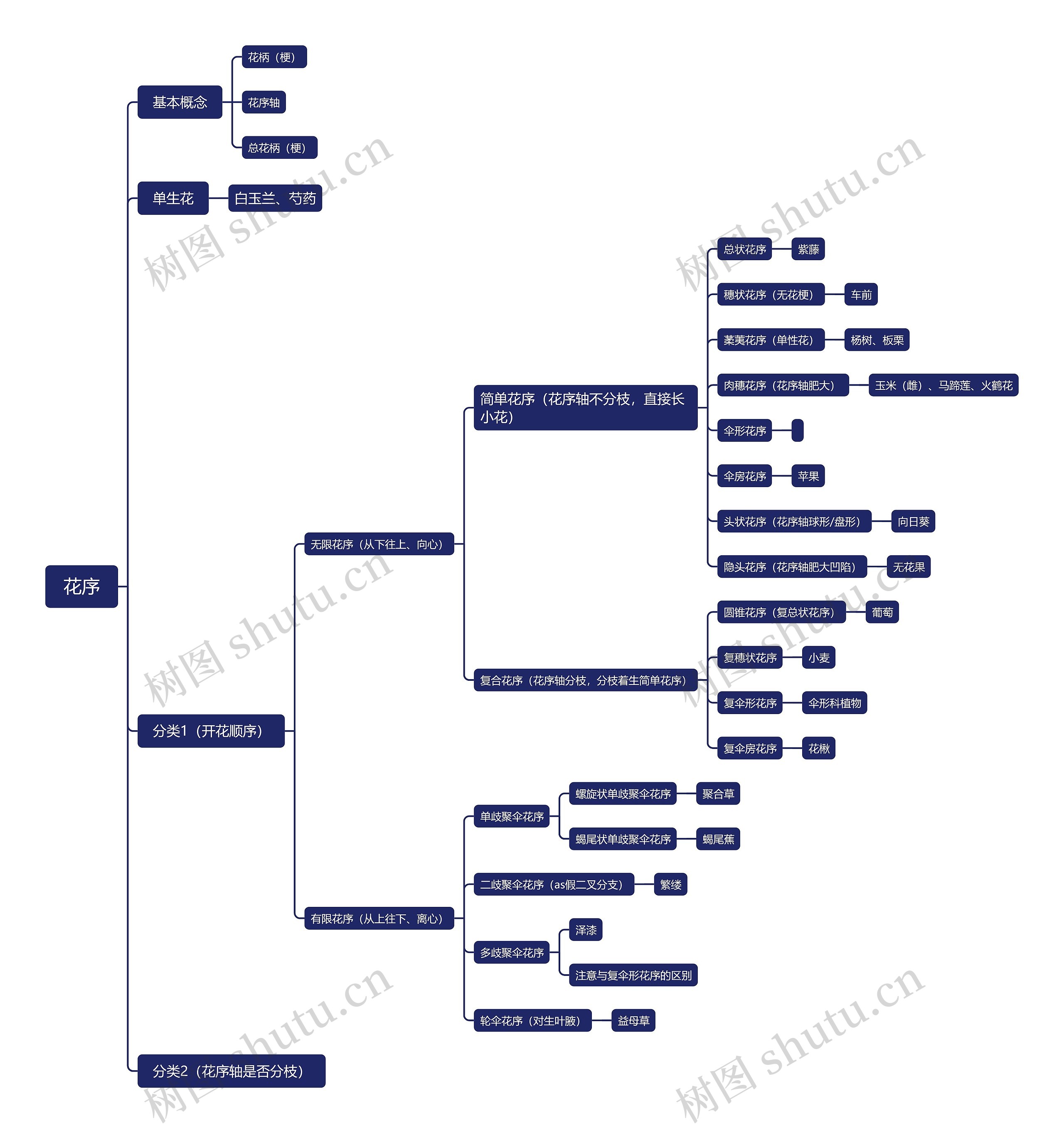 ﻿花序思维脑图