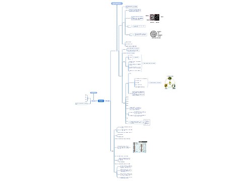 植物细胞思维导图