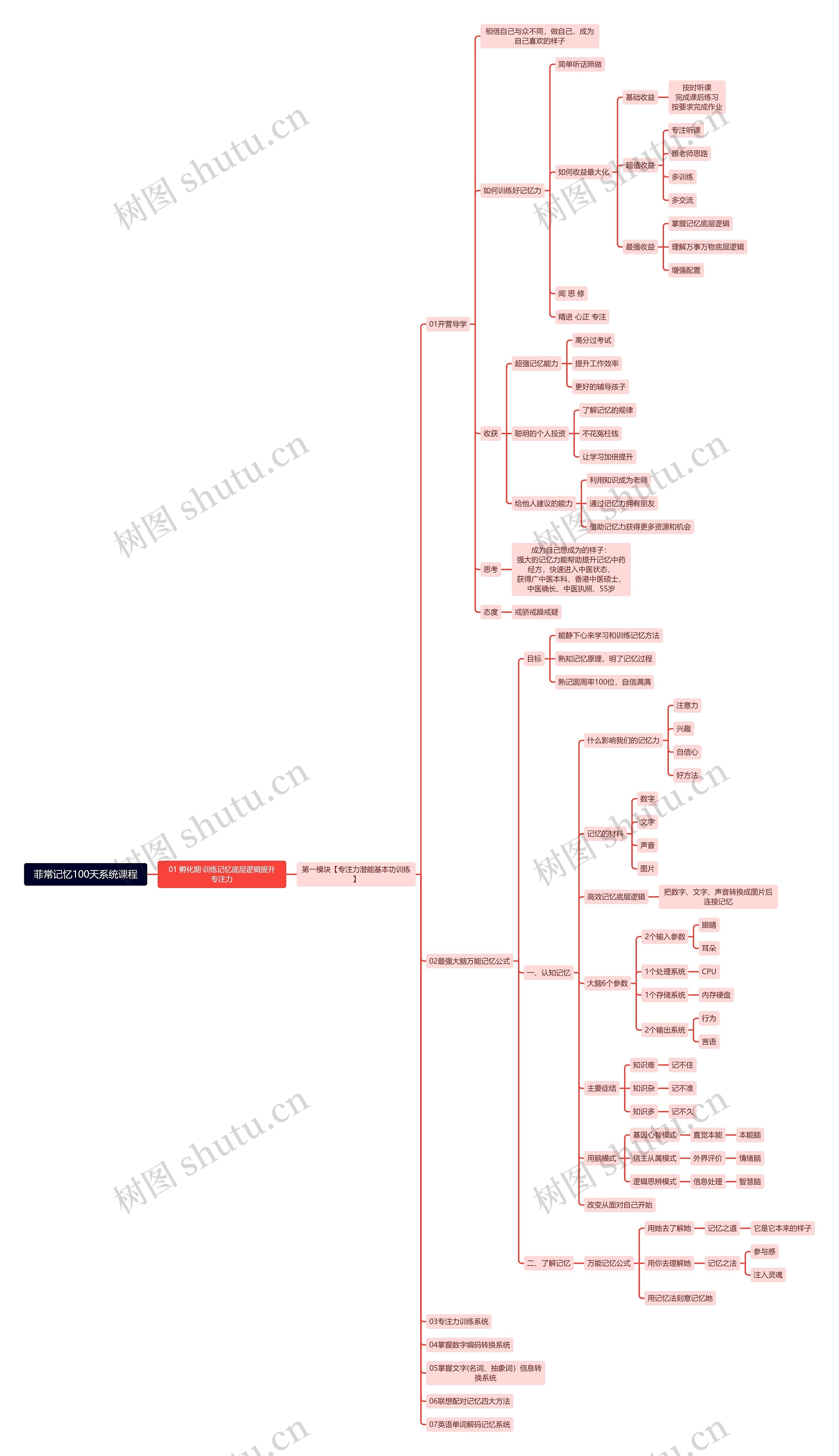 菲常记忆100天系统课程