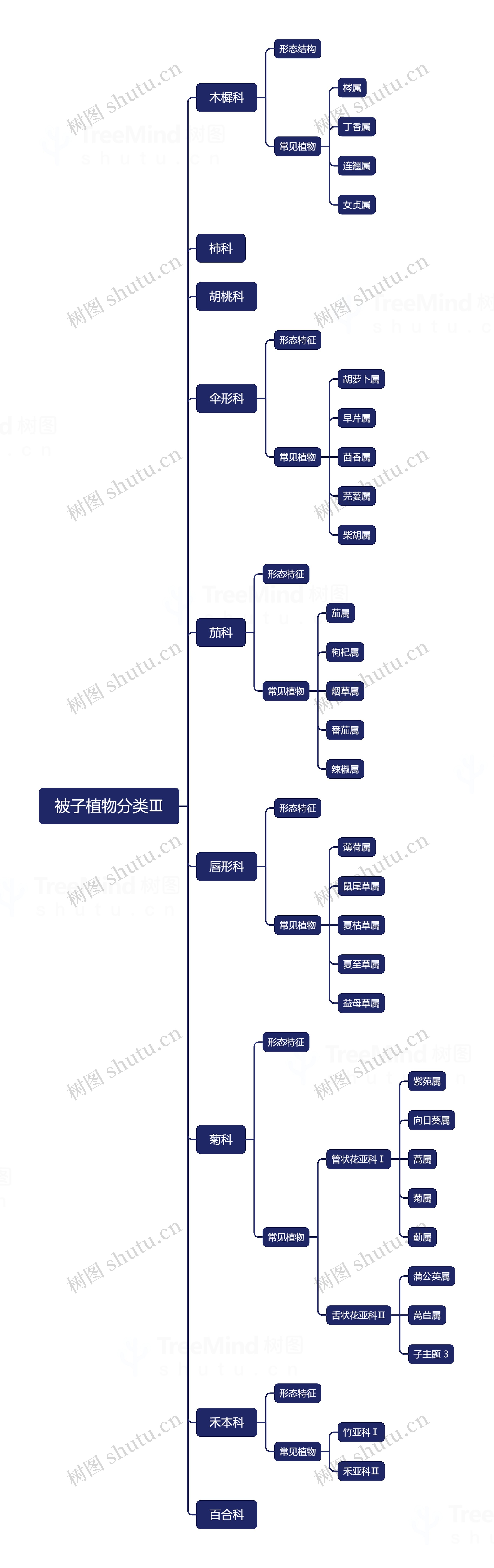 ﻿被子植物分类Ⅲ思维导图