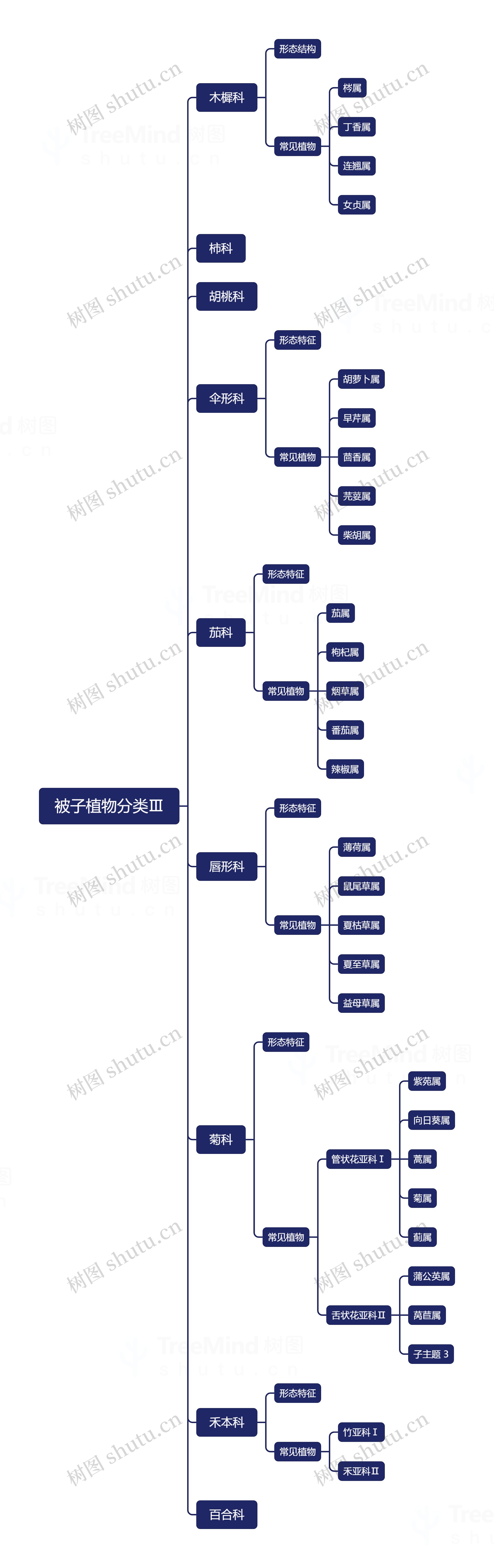 被子植物分类Ⅲ思维导图高清图 被子植物分类Ⅲ思维导图