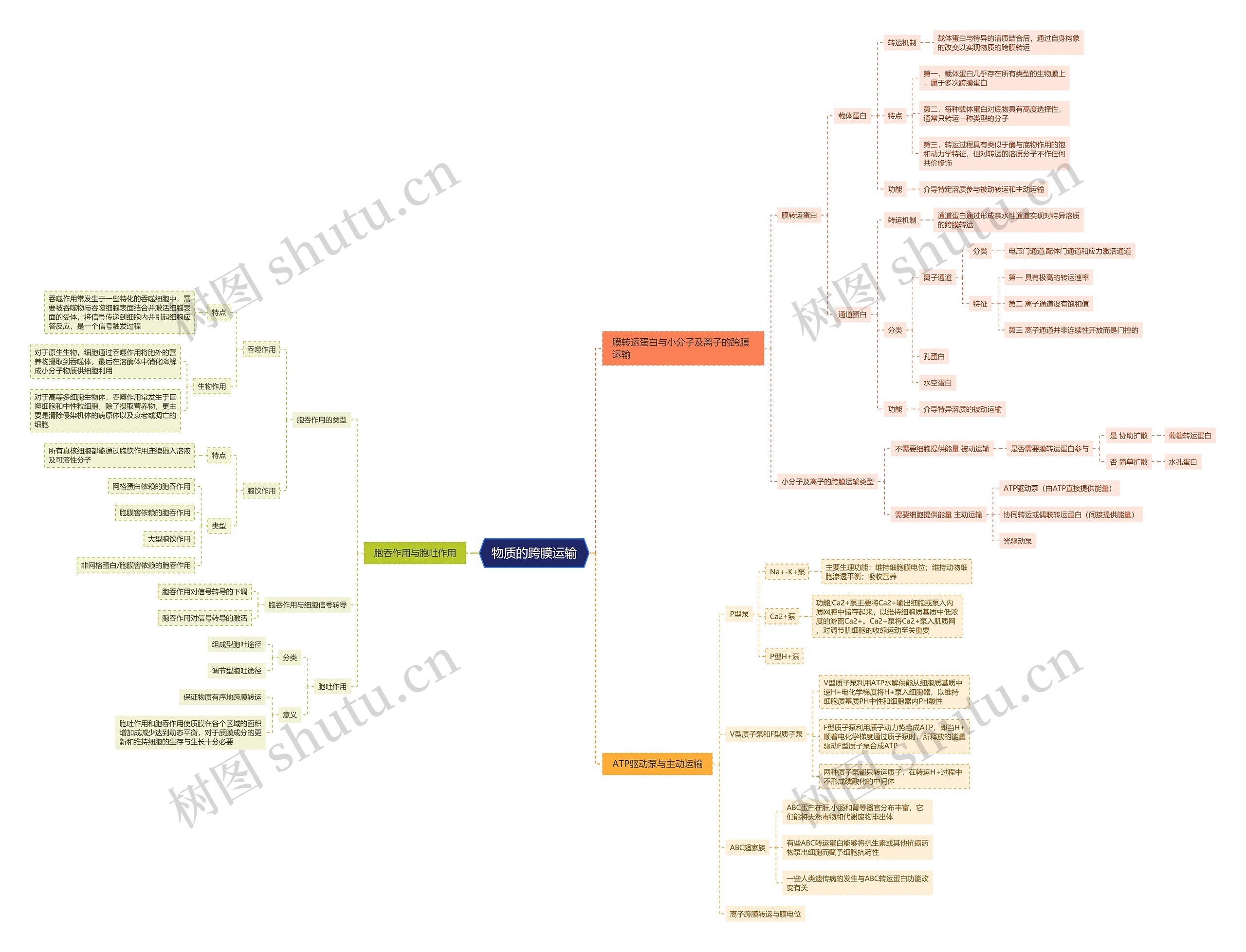 物质的跨膜运输思维导图