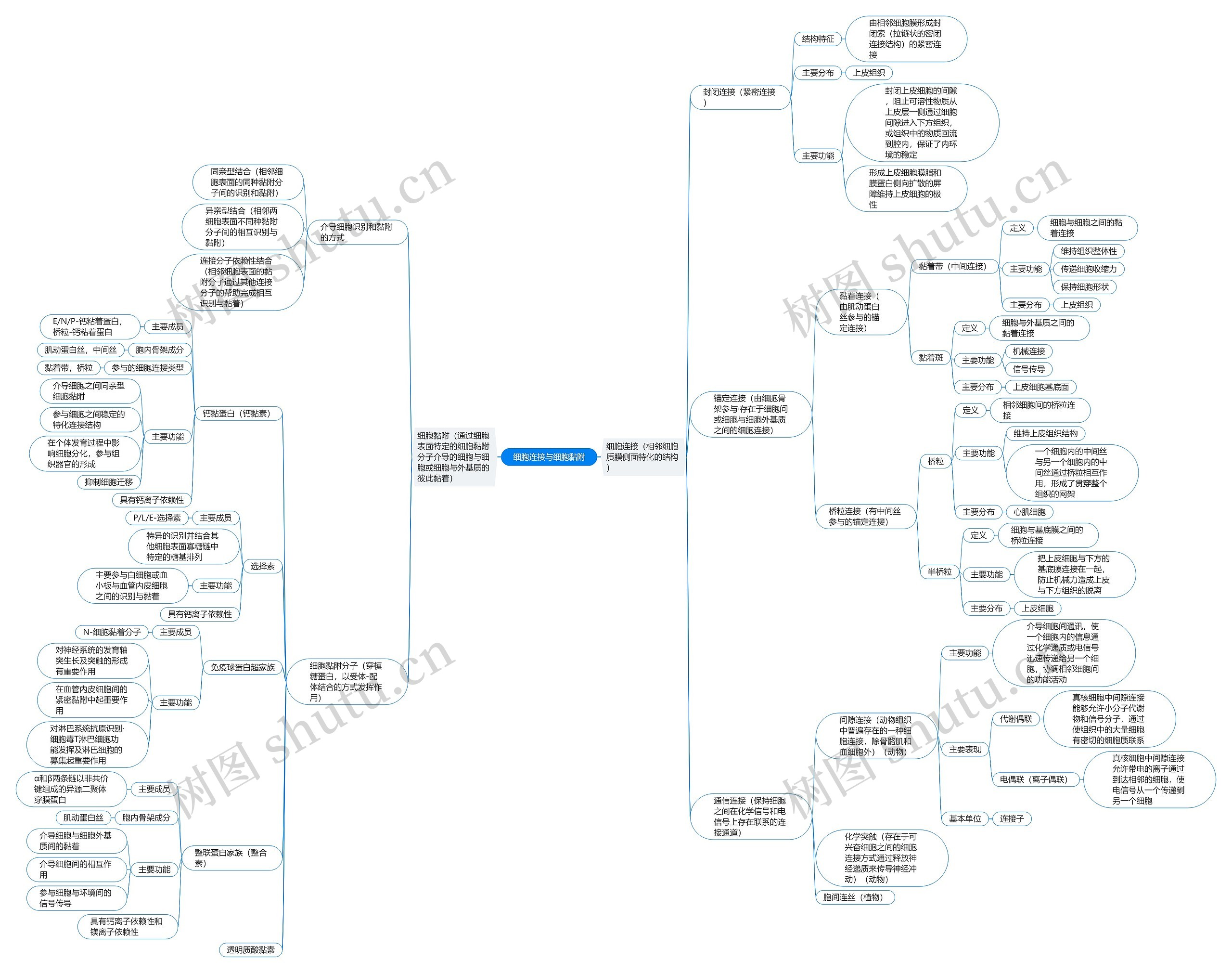 ﻿细胞连接与细胞黏附思维导图