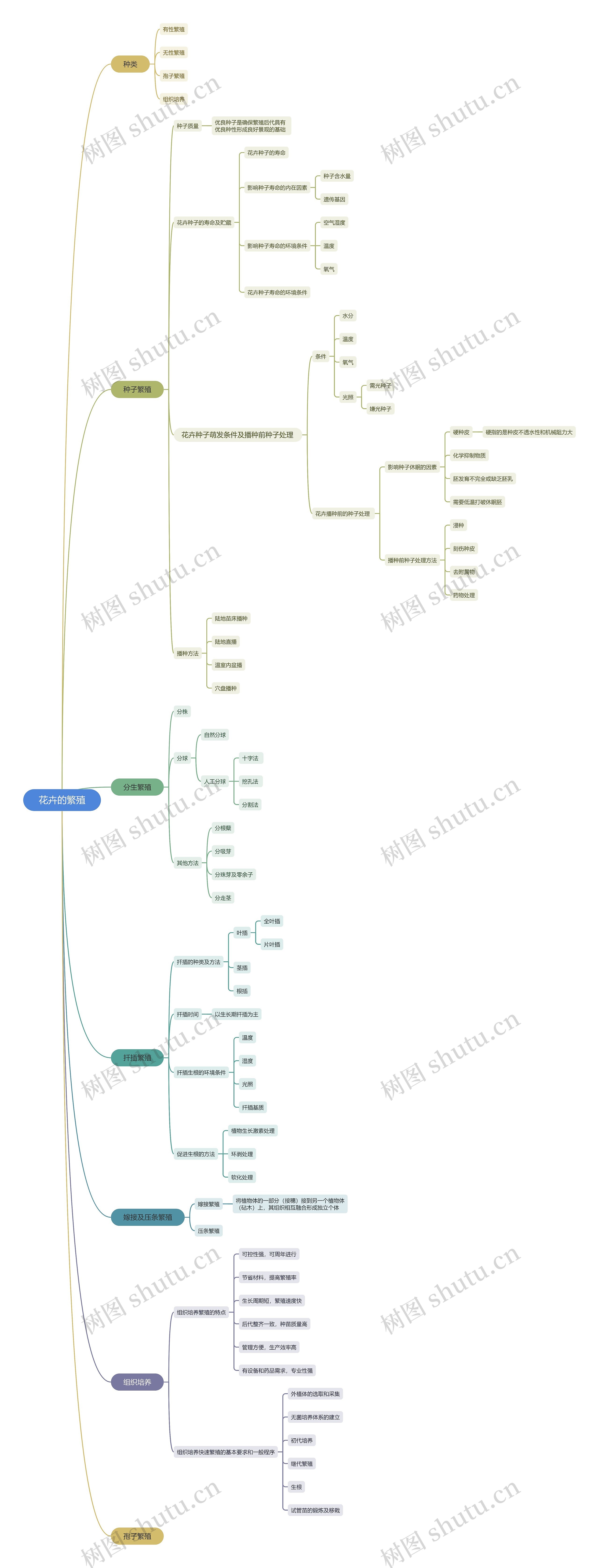 花卉的繁殖思维导图高清图 花卉的繁殖思维导图