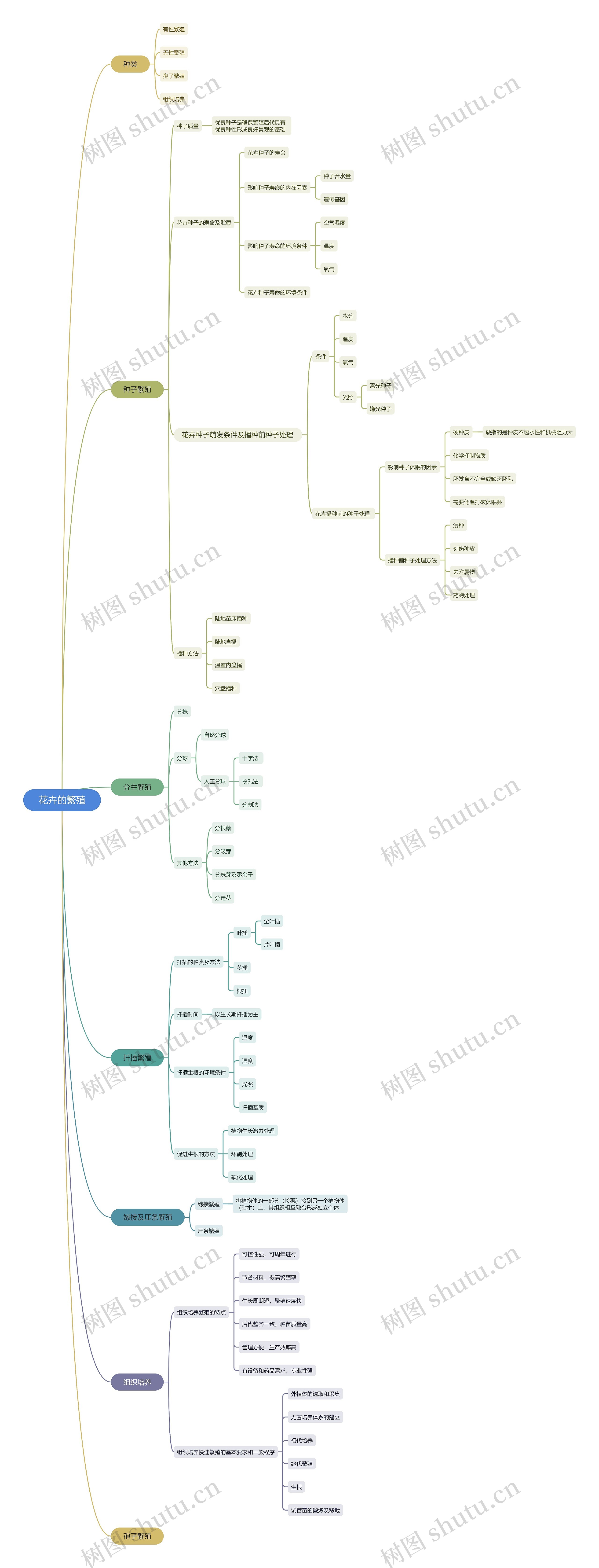 花卉的繁殖思维导图