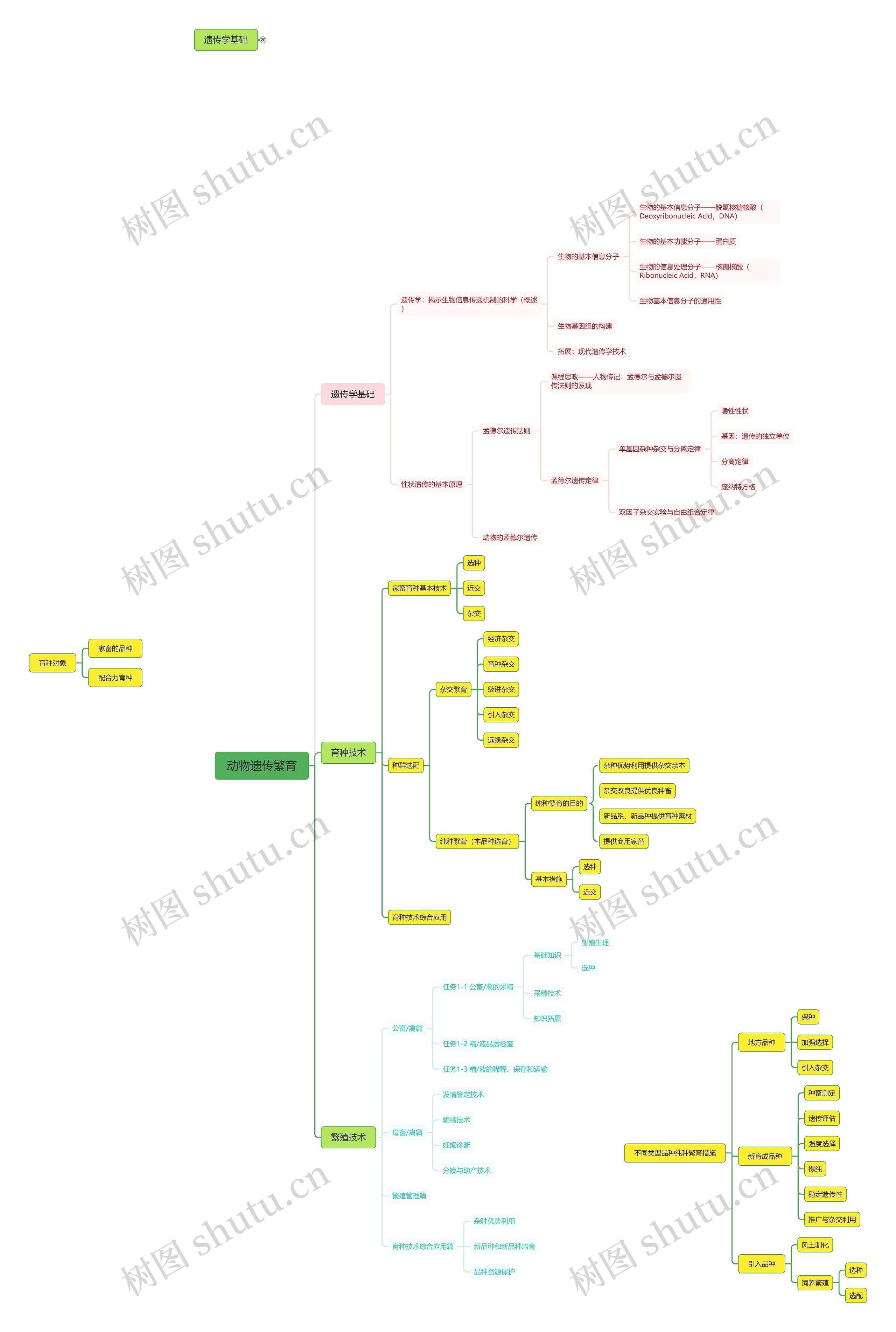 动物遗传繁育思维导图