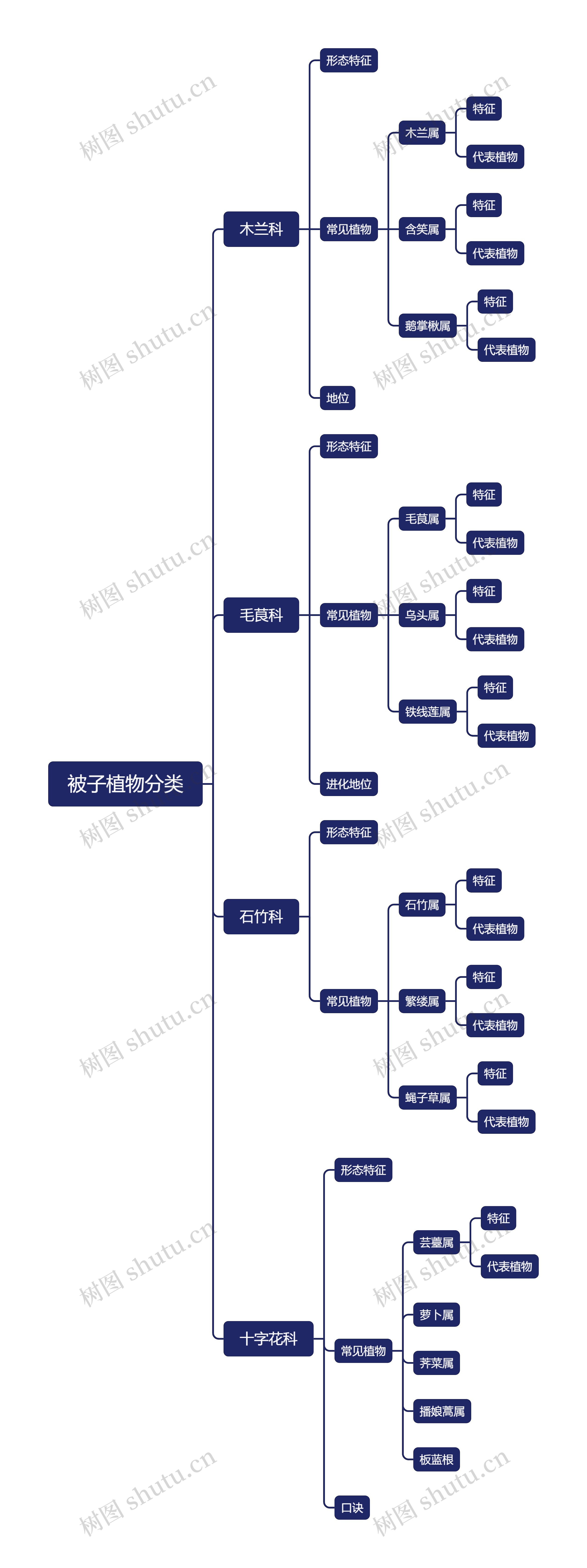 被子植物分类