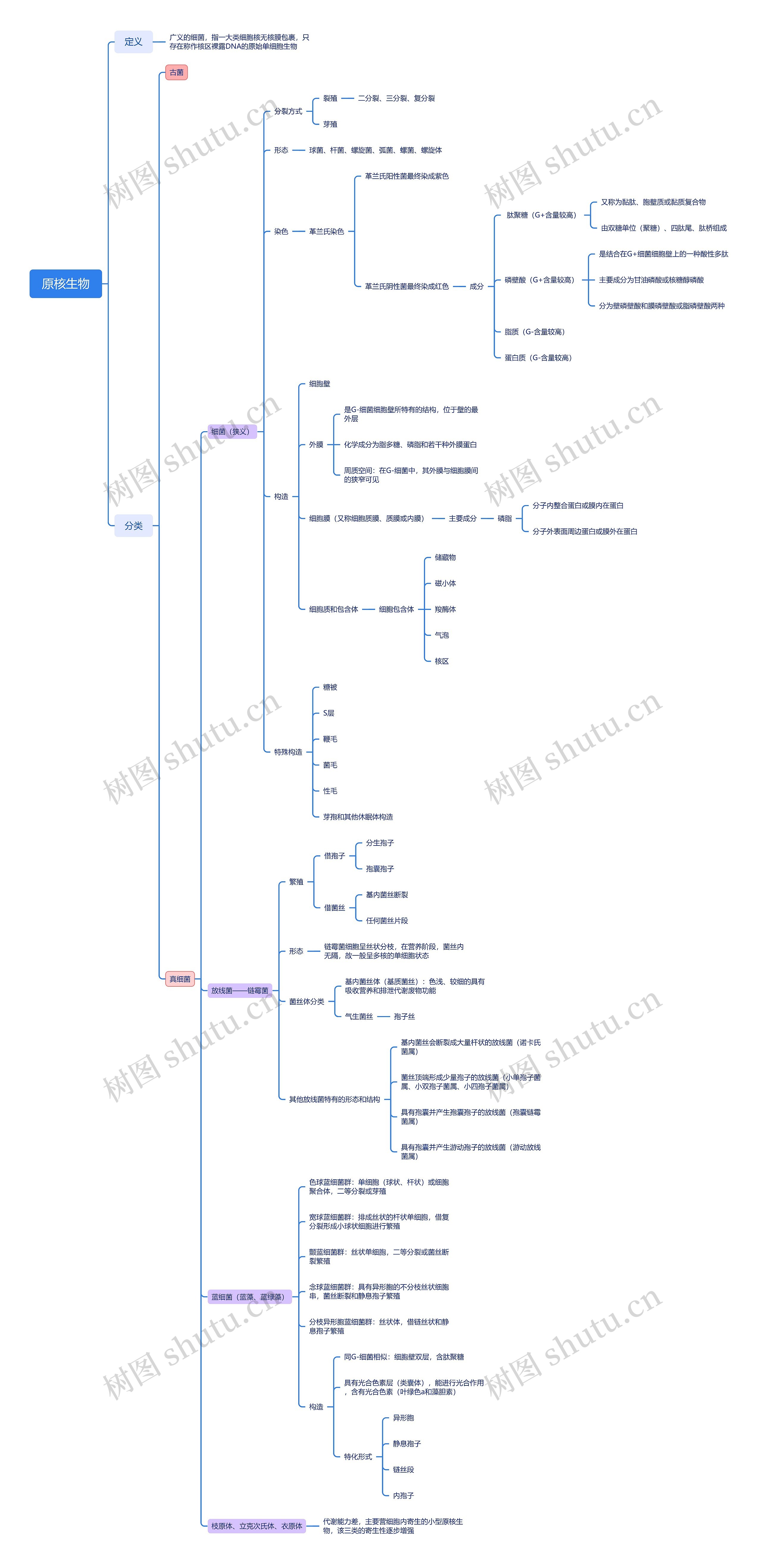 原核生物思维导图高清图 原核生物思维导图