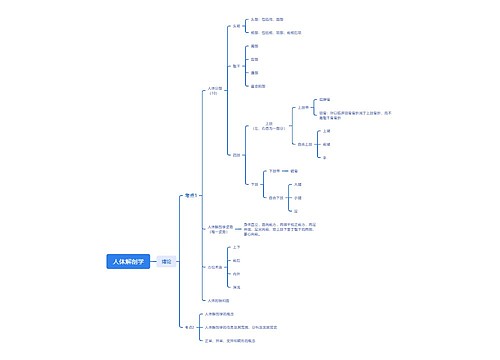 人体解剖学思维导图