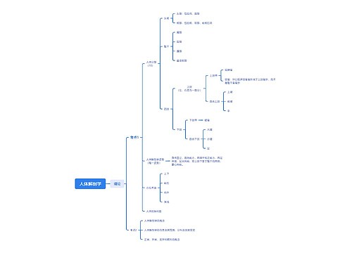 人体解剖学 人体解剖学